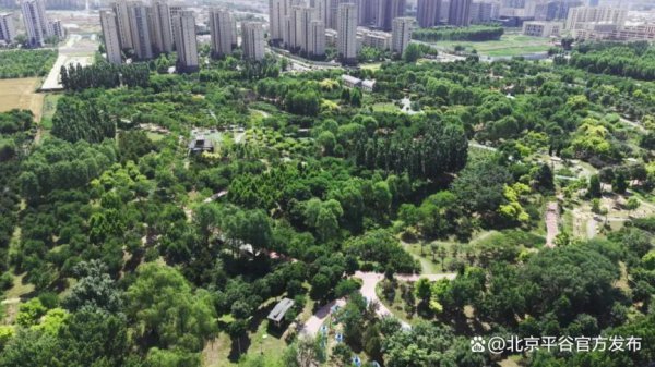 推窗见花、移步齐景!为扮靓平谷“花”点心念念